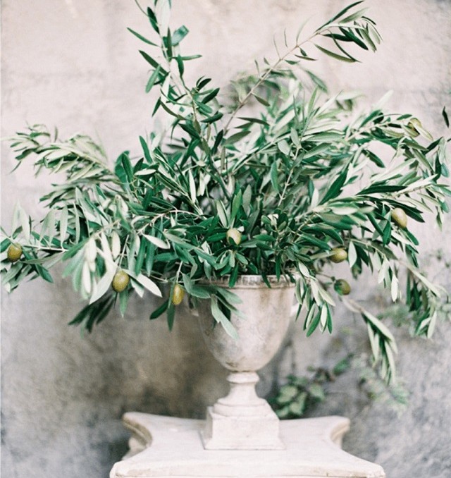 olivo olive ramas bodas decoracion ideas decor rustic decoration