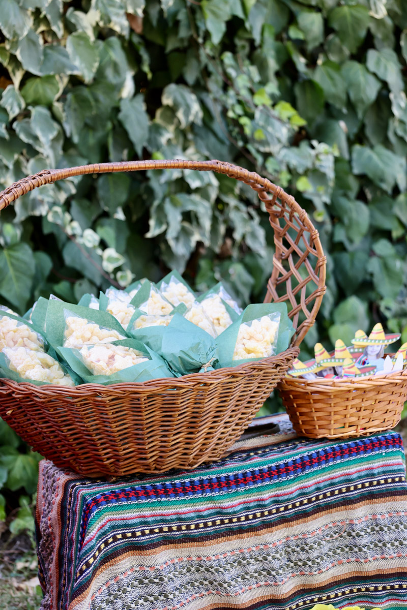 fiesta infantil mexico mejico cumple birthday party ideas mexicana cactus mexican kids