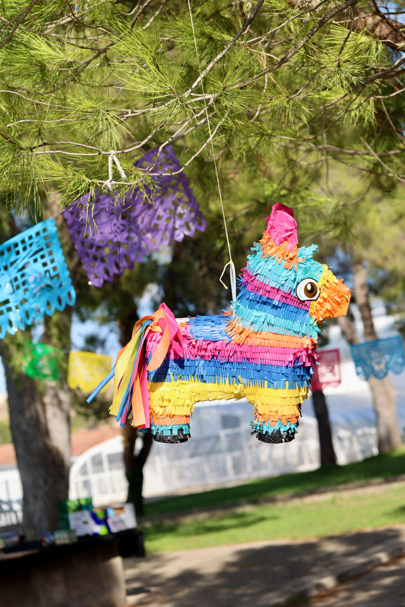 fiesta infantil mexico mejico cumple birthday party ideas mexicana cactus mexican kids