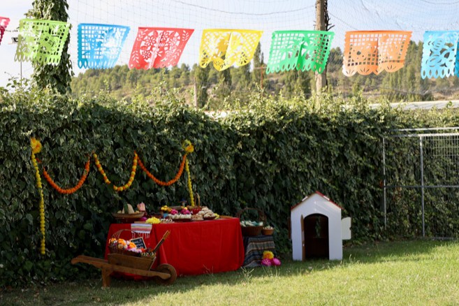 fiesta infantil mexico mejico cumple birthday party ideas mexicana cactus mexican kids