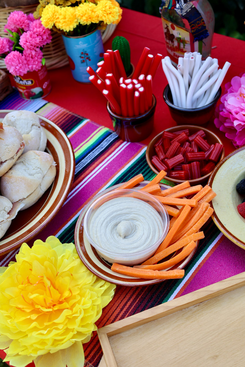fiesta infantil mexico mejico cumple birthday party ideas mexicana cactus mexican kids